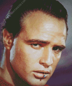 Marlon Brando Actor Diamond Paintings