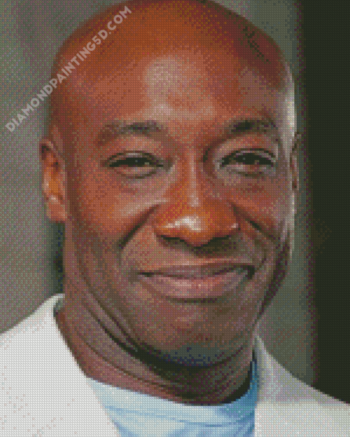 Michael Clarke Duncan Actor Diamond Paintings