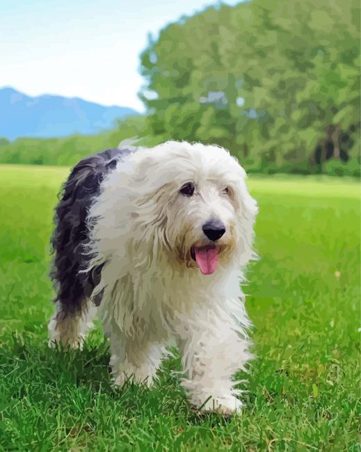 Old English Sheepdog Diamond Paintings