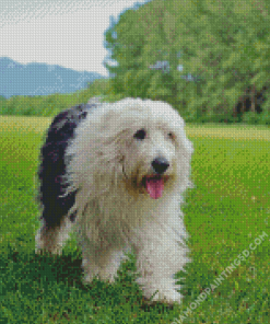 Old English Sheepdog Diamond Paintings