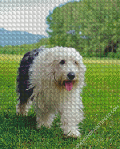 Old English Sheepdog Diamond Paintings