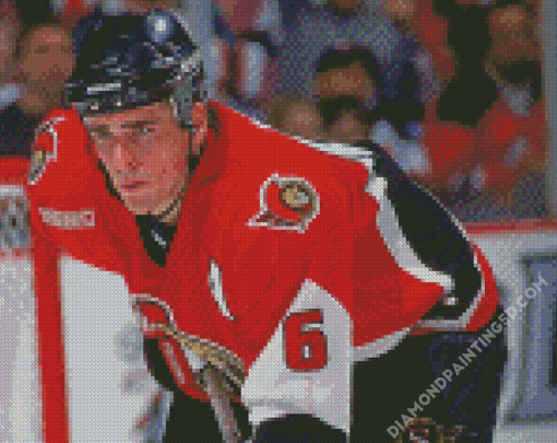 Ottawa Senator Diamond Paintings