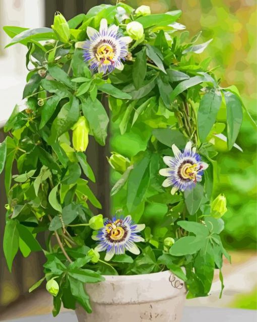 Passionflower Plant Pot Diamond Paintings