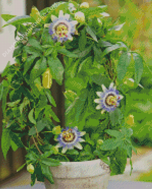 Passionflower Plant Pot Diamond Paintings