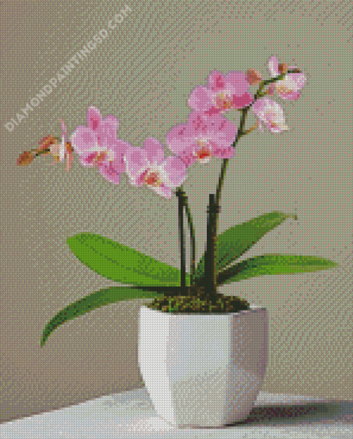 Pink Orchid Diamond Paintings