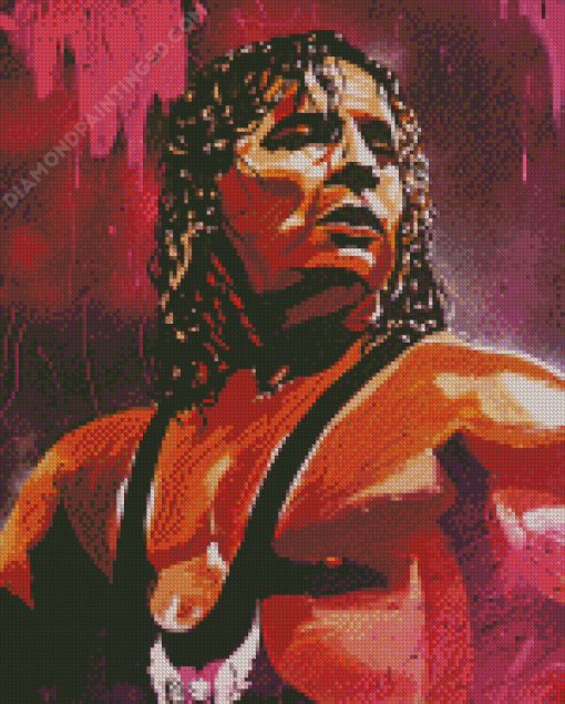 Professional Wrestler Bret Hart Diamond Paintings