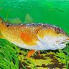 Red Drum Fish Underwater Diamond Paintings