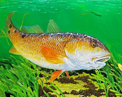 Red Drum Fish Underwater Diamond Paintings