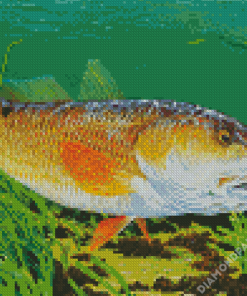 Red Drum Fish Underwater Diamond Paintings