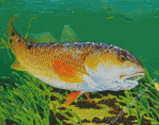 Red Drum Fish Underwater Diamond Paintings