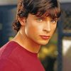 Smallville Character Diamond Paintings