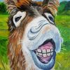 Smiling Donkey Diamond Paintings