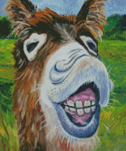 Smiling Donkey Diamond Paintings