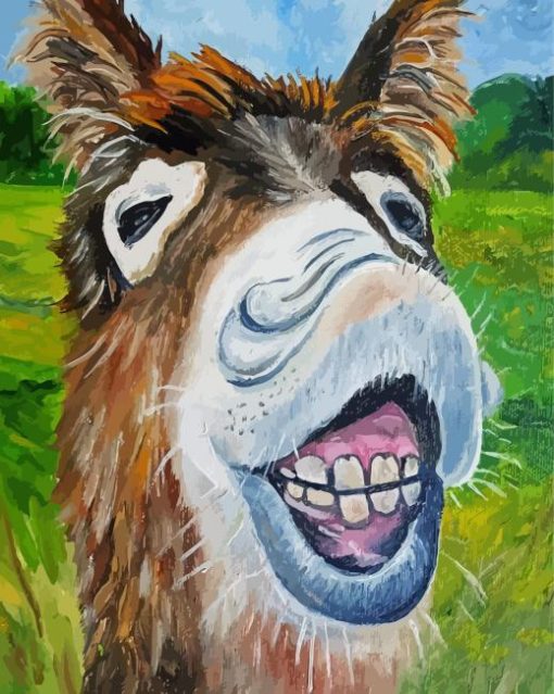 Smiling Donkey Diamond Paintings