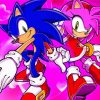 Sonic Amy Rose Characters Diamond Paintings