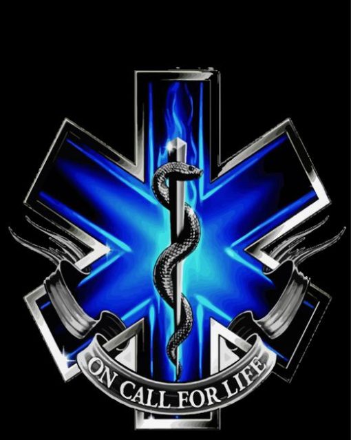 The EMS Star Of Life Diamond Paintings