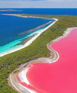 The Pink Lake Diamond Paintings