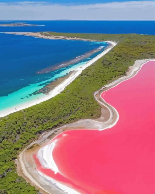 The Pink Lake Diamond Paintings