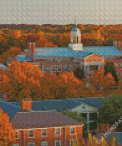 Wake Forest University USA Diamond Paintings