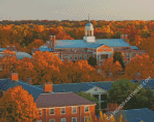 Wake Forest University USA Diamond Paintings