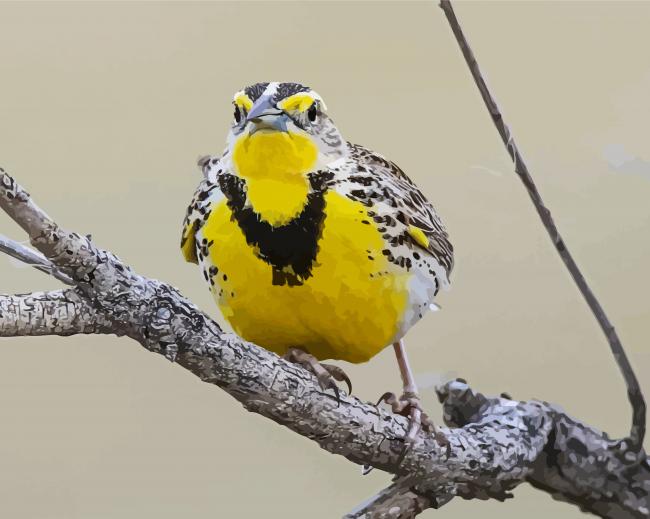 Western Meadowlark On Branch Diamond Paintings