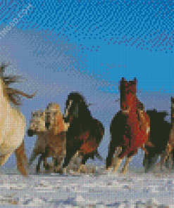 Winter Horses Animals Diamond Paintings