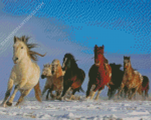 Winter Horses Animals Diamond Paintings