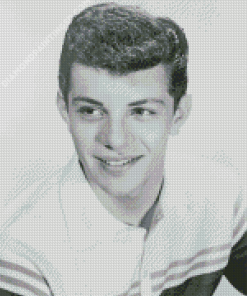 Young Frankie Avalon Diamond Paintings