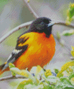 Baltimore Oriole On Tree Diamond Paintings