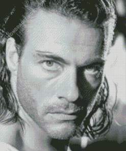 Black And White Van Damme Diamond Paintings