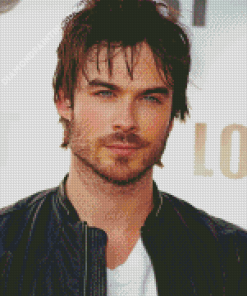 Cool Ian Somerhalder Diamond Paintings