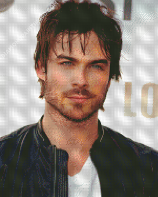 Cool Ian Somerhalder Diamond Paintings