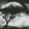 Moon And Trees Black And White Diamond Paintings