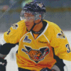 Nashville Predators Ice Hockey Sport Player Diamond Paintings