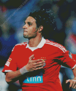 Nuno Gomes Football Player Diamond Paintings