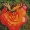 Orange Rose Butterfly Diamond Paintings