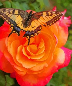 Orange Rose Butterfly Diamond Paintings