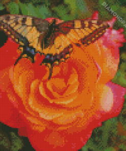 Orange Rose Butterfly Diamond Paintings