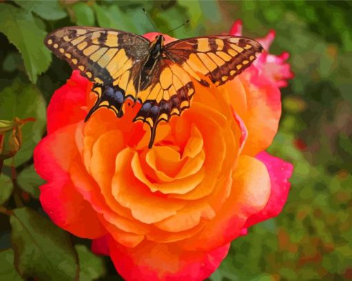 Orange Rose Butterfly Diamond Paintings