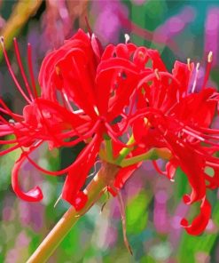 Red Japanese Flowers Diamond Paintings