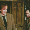 Remus Lupin Character Diamond Paintings