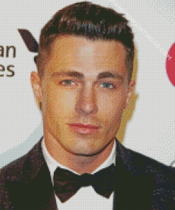 The Actor Colton Haynes Diamond Paintings