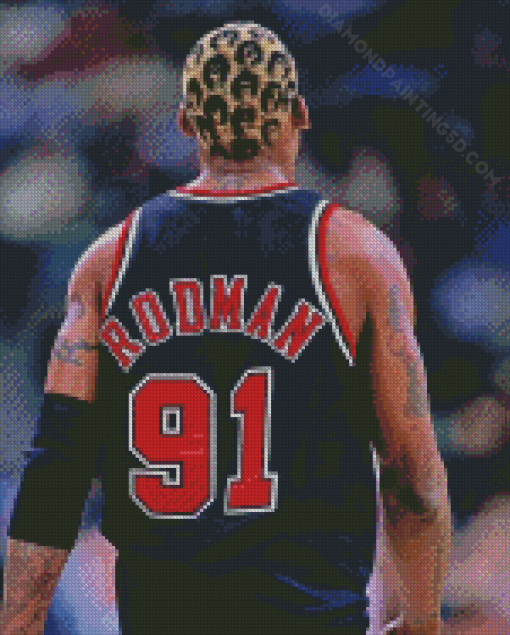 The Basketball Player Dennis Rodman Diamond Paintings