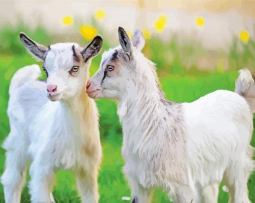 White Baby Goats Diamond Paintings