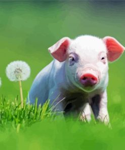 White Cute Pig Diamond Paintings