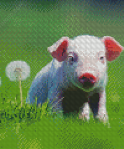 White Cute Pig Diamond Paintings