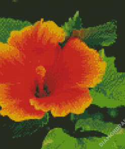 Young Orange Hibiscus Diamond Paintings