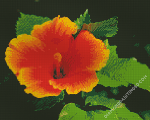 Young Orange Hibiscus Diamond Paintings