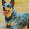 Aesthetic Blue Heeler Dog Diamond Paintings