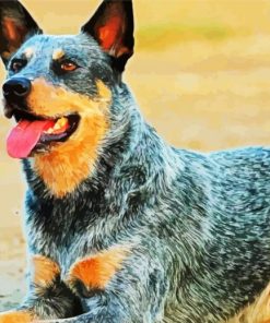 Aesthetic Blue Heeler Dog Diamond Paintings